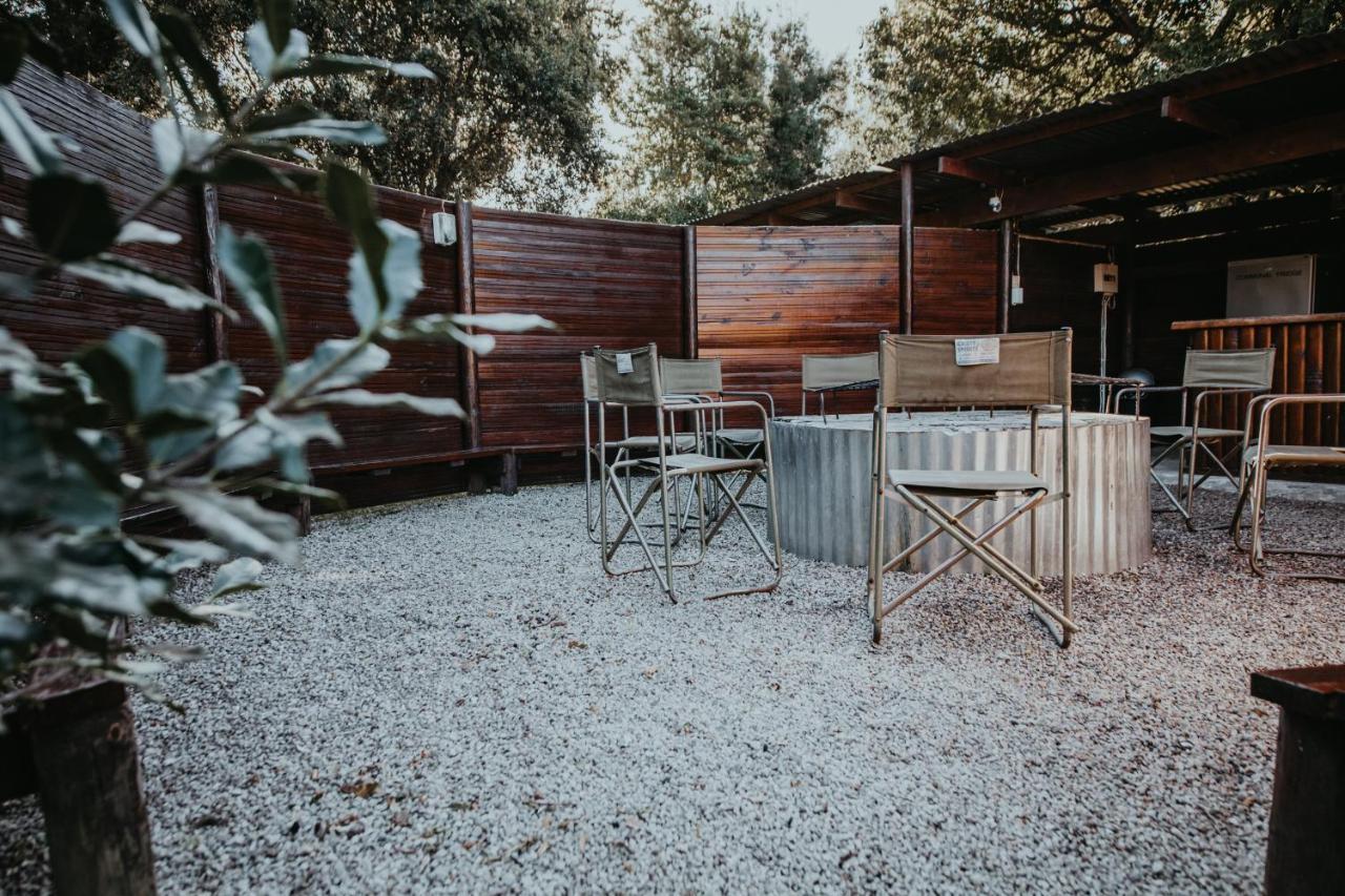 Auberge de jeunesse Tsitsikamma Backpackers à Stormsrivier Extérieur photo